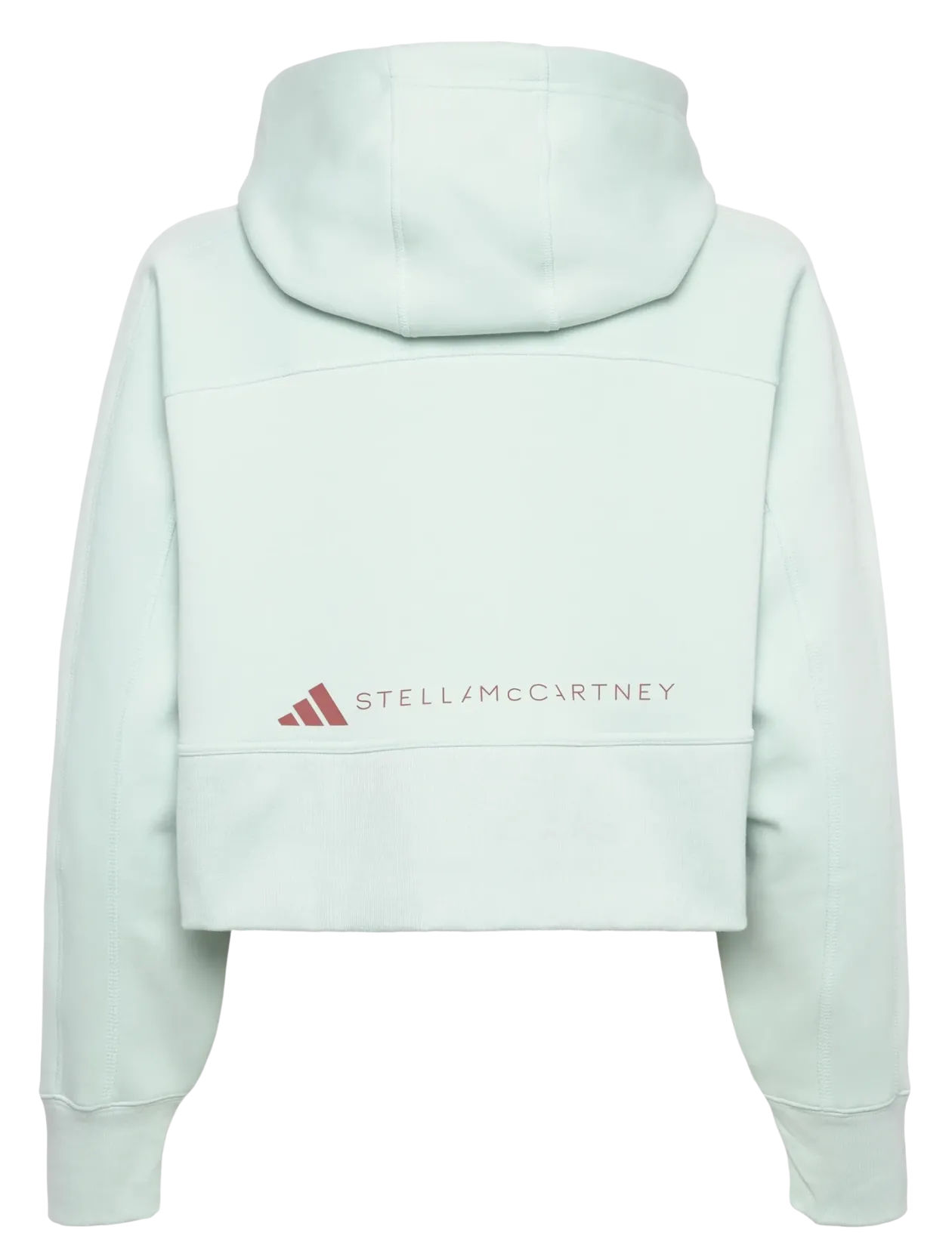 aSMC CRO HOODIE - Hættetrøjer