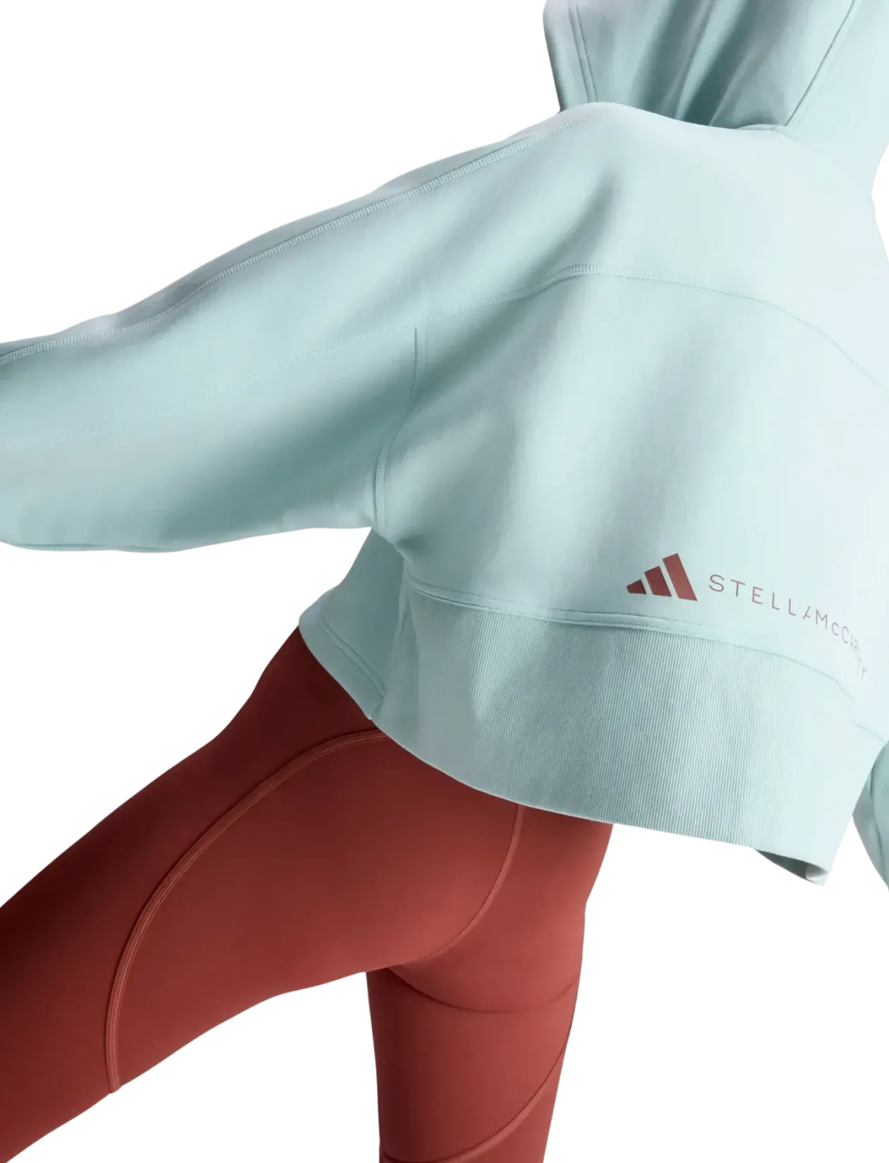 aSMC CRO HOODIE - Hættetrøjer