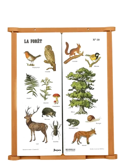 Blackboard - Wall Triptych 82 cm - Forest Deyrolle - Tegnetavler