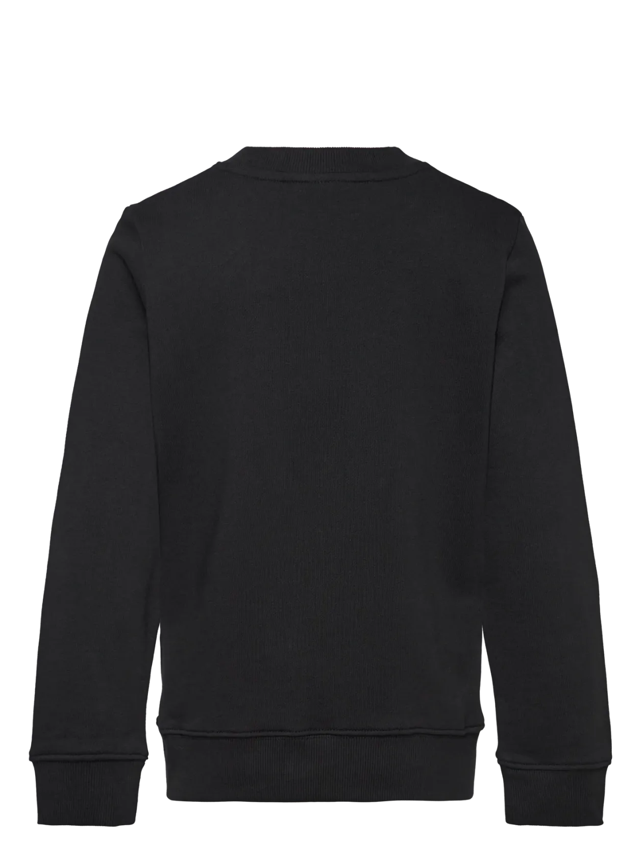 CHEST INST. LOGO REGULAR CN - Sweatshirts