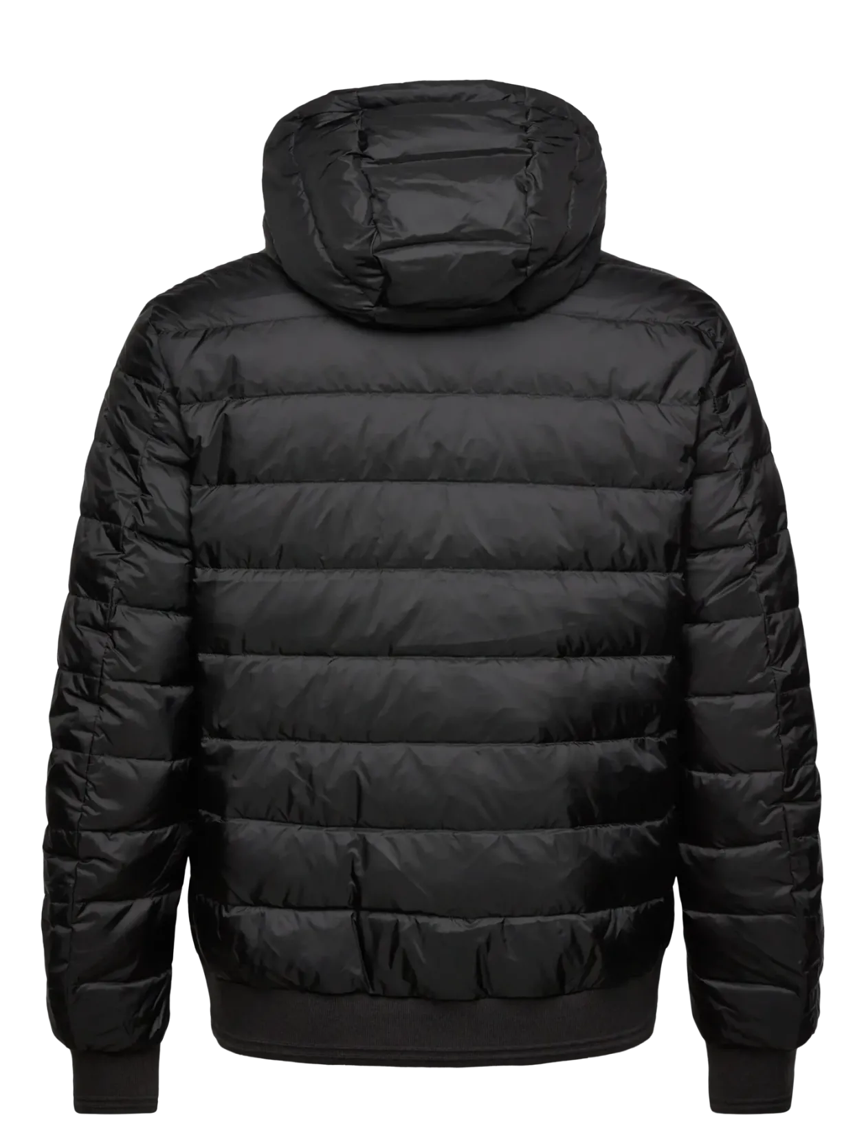 CONTROL JACKET - Forede jakker