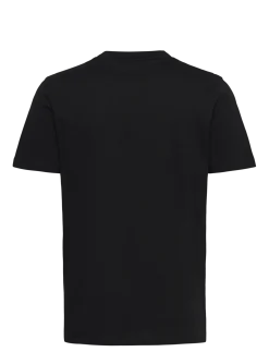 Dilesses - T-Shirts