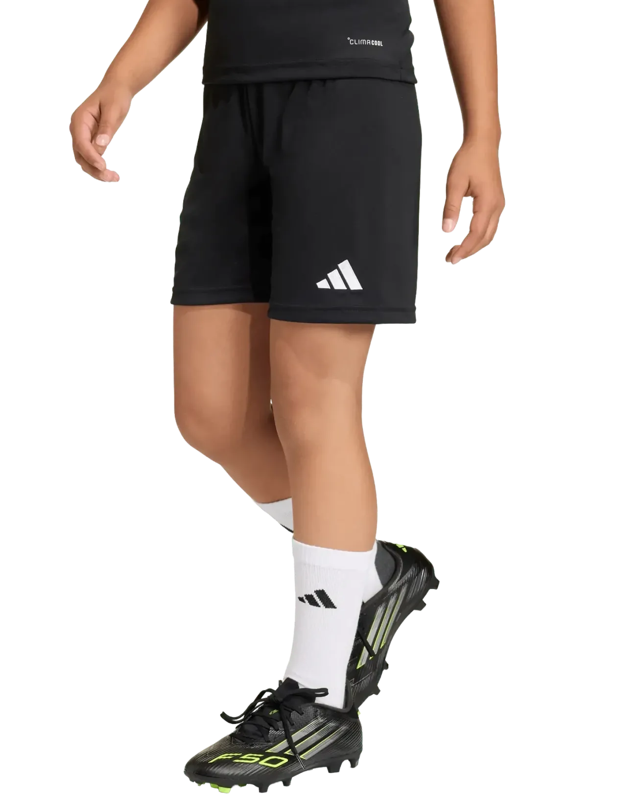 ENT26 SHO Y - Sportsshorts