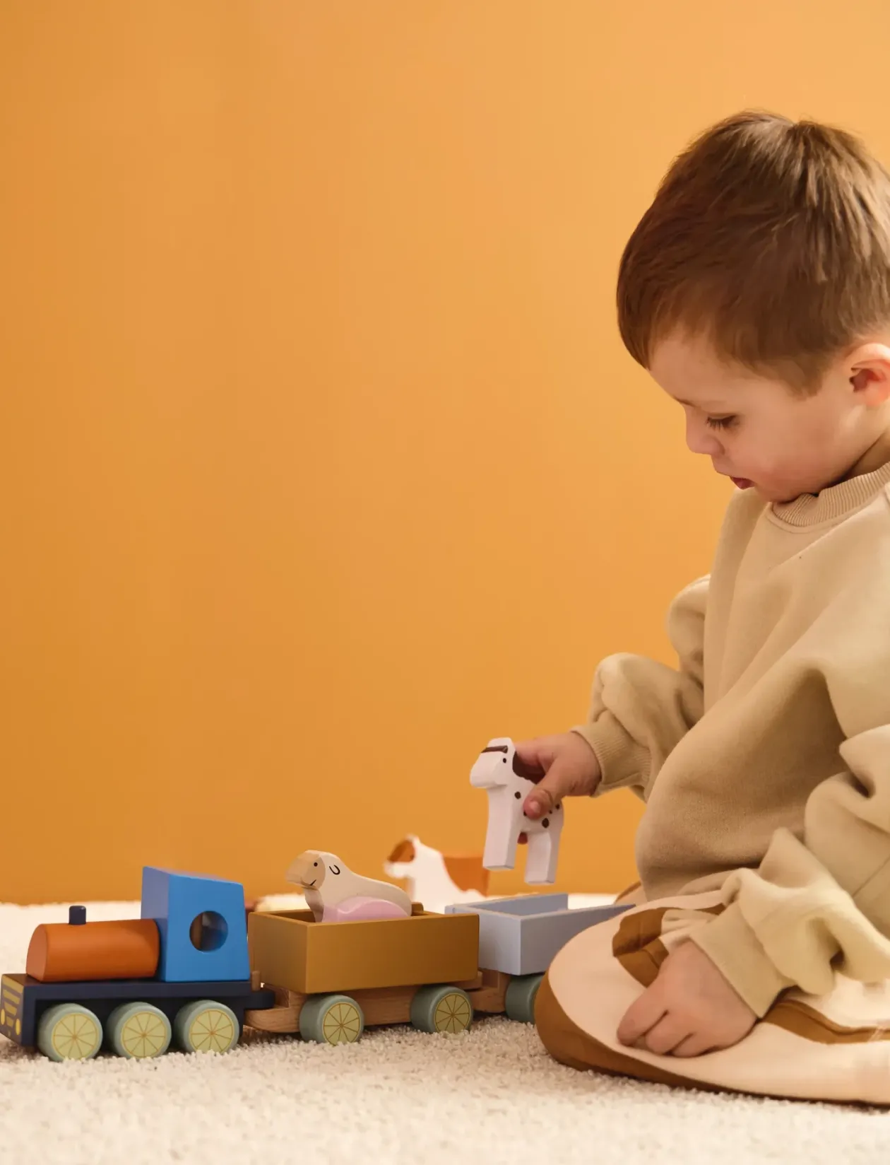 Farm animal train AIDEN - Tog