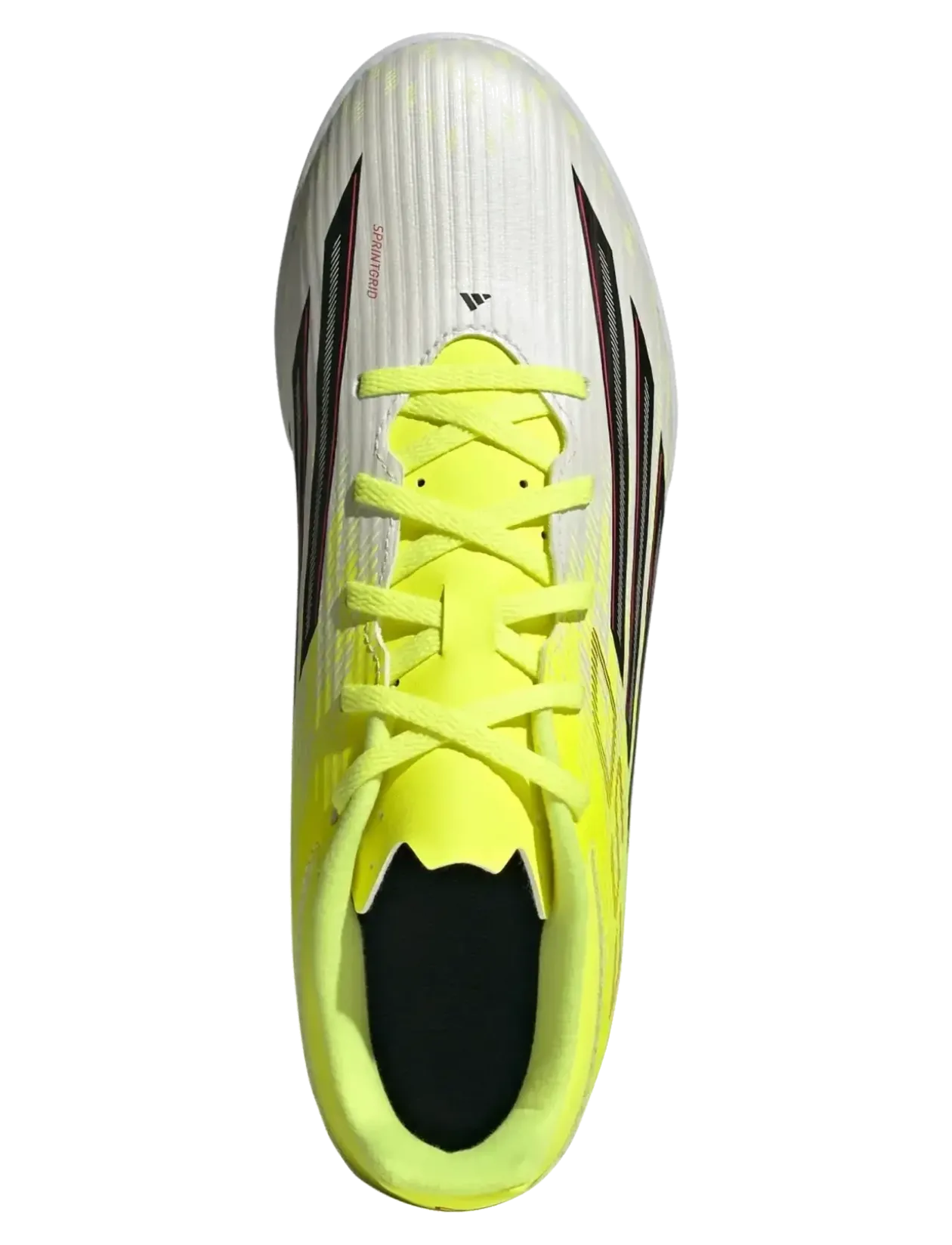 F50 CLUB IN - Mænd