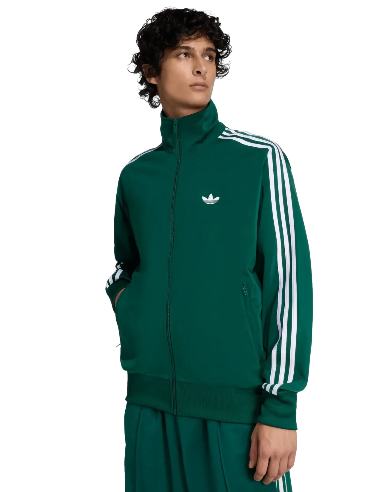 FIREBIRD TT - Sweatshirts