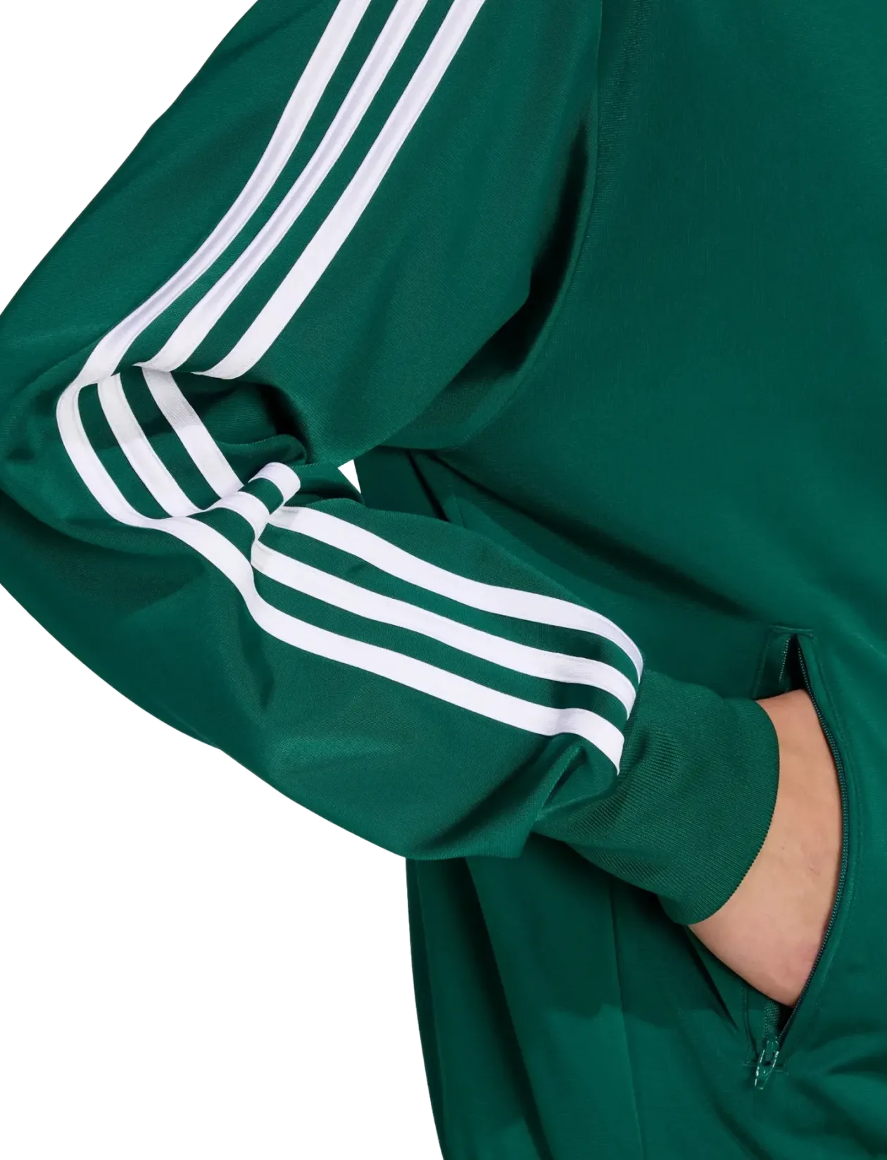 FIREBIRD TT - Sweatshirts
