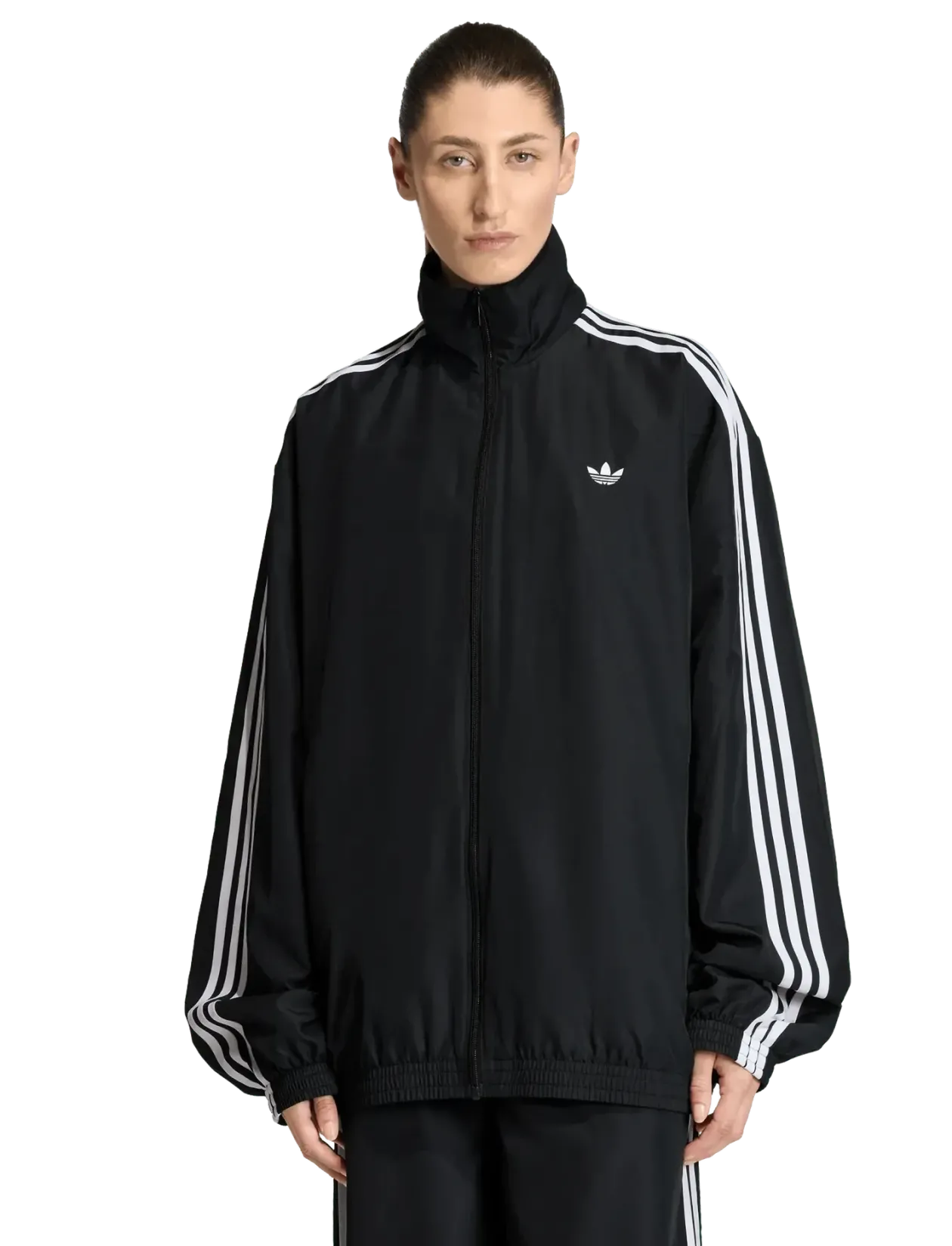 FIREBIRD TT - Sweatshirts