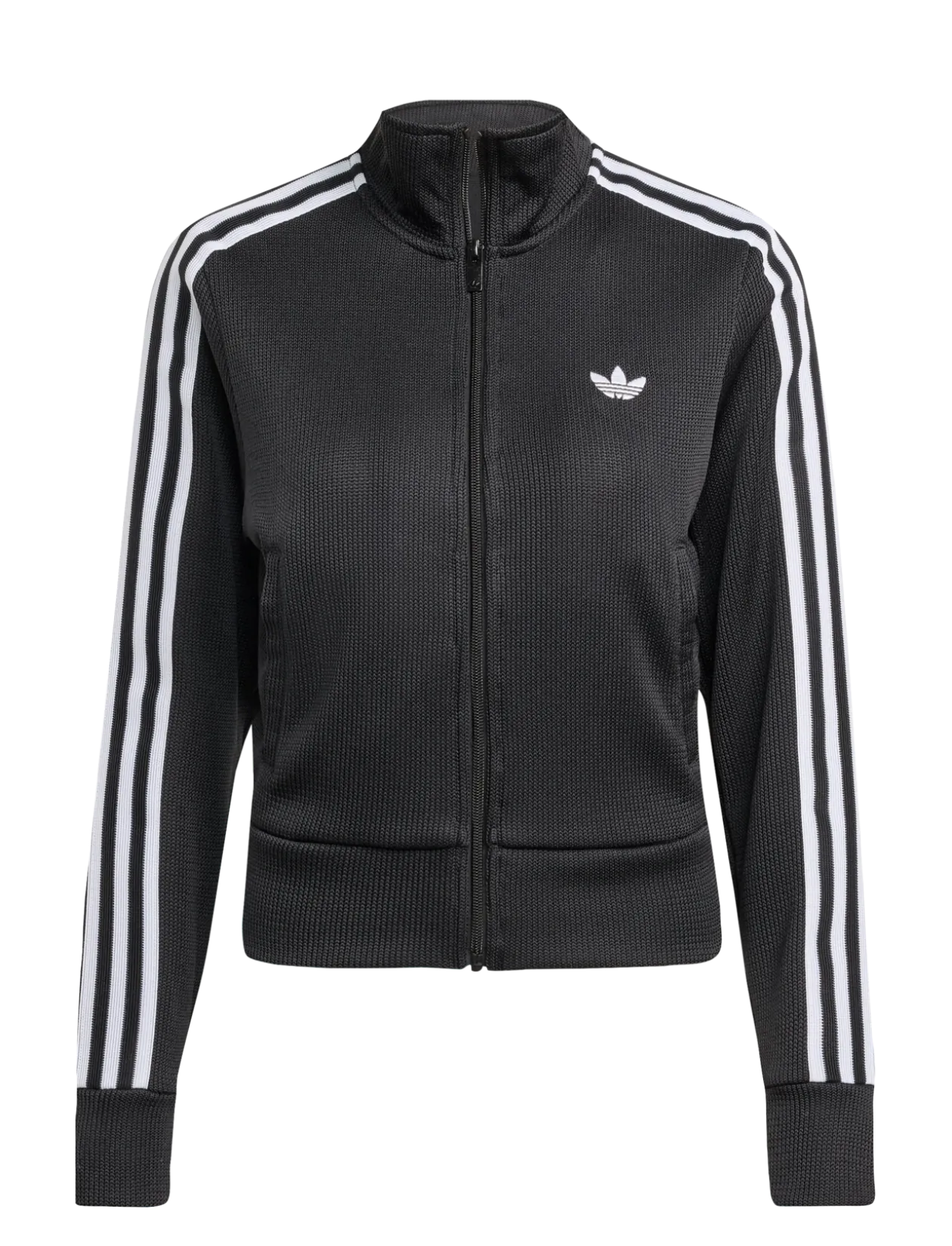 FIREBIRD TT - Sweatshirts