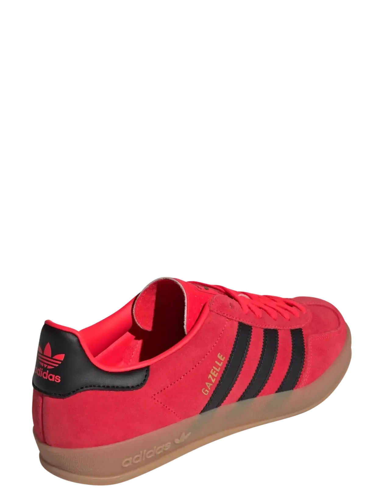 GAZELLE INDOOR - Mænd