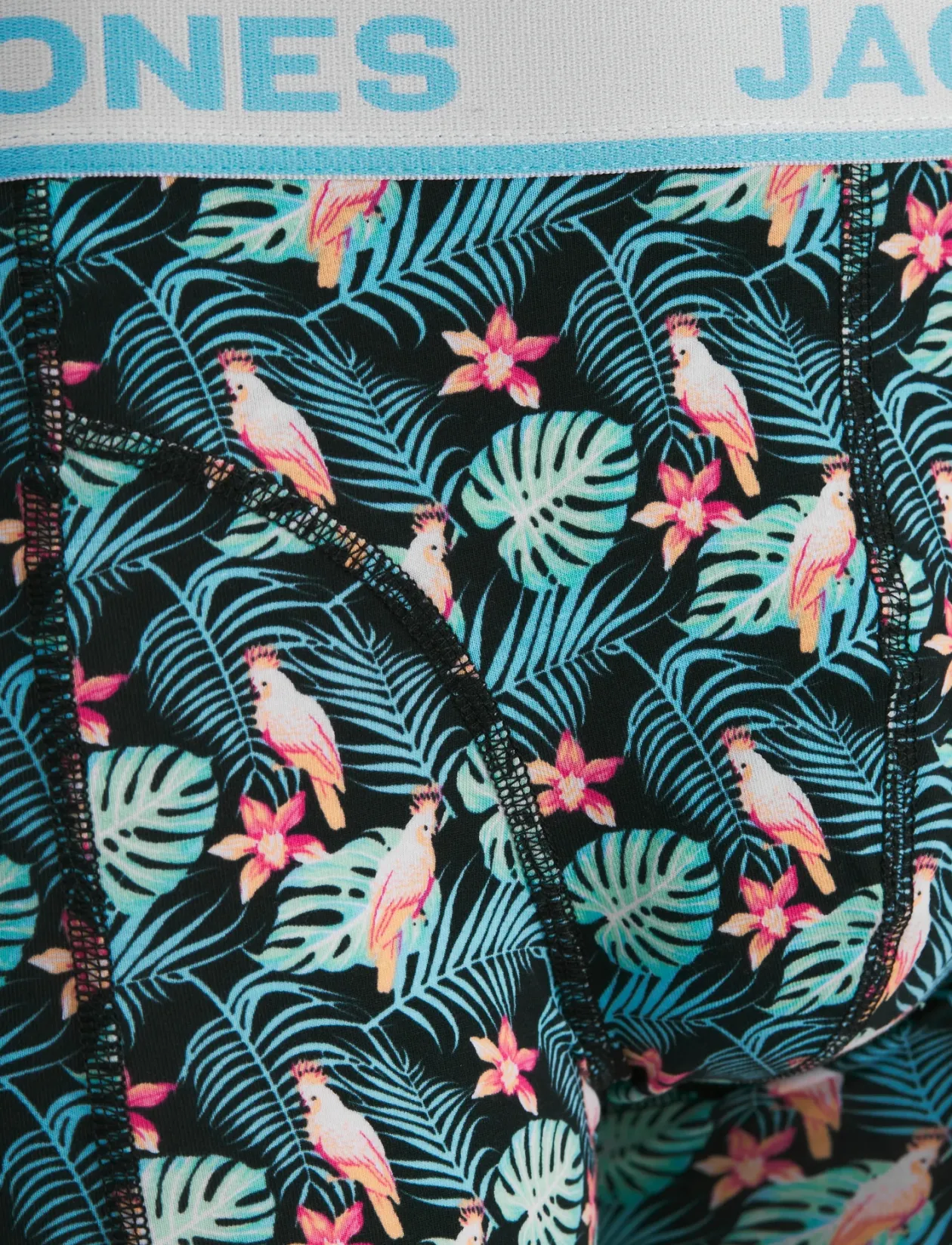 JACBIRD LEAVES TRUNKS 3 PACK - Boxershorts