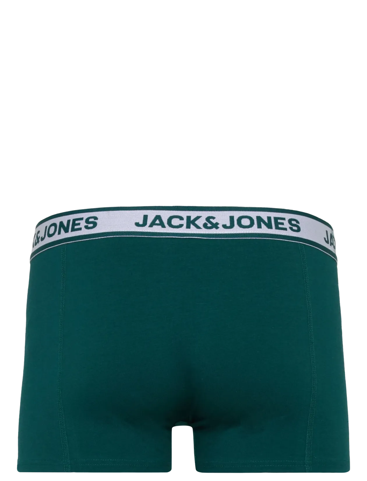 JACBIRD LEAVES TRUNKS 3 PACK - Boxershorts