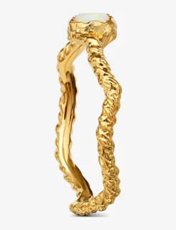 Lisa Ring - Ringe