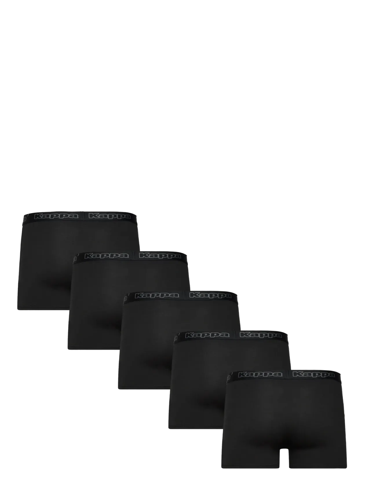 Logo Longus DK 5 pack - Boxershorts