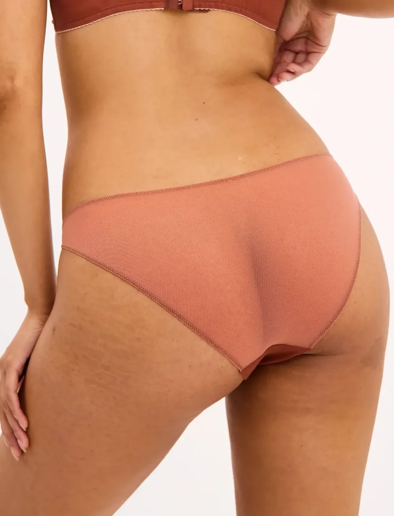 Mesh Tanga Briefs - Briefs