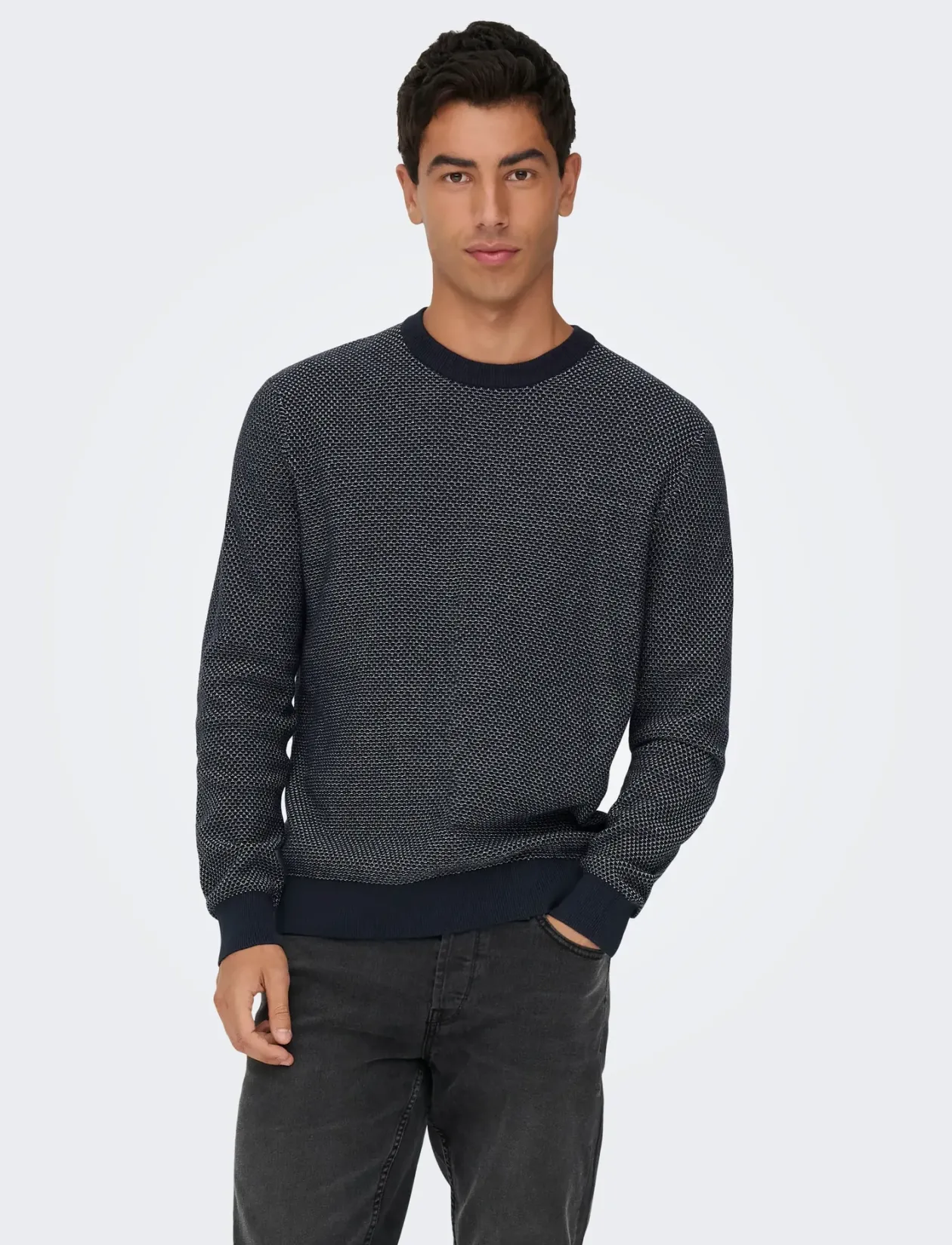 ONSMORGAN 12 STRUCTURE CREW KNIT NOOS - Rund hals