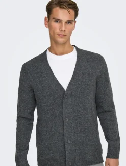 ONSRAY REG LS CARDIGAN KNIT FRML - Cardigans