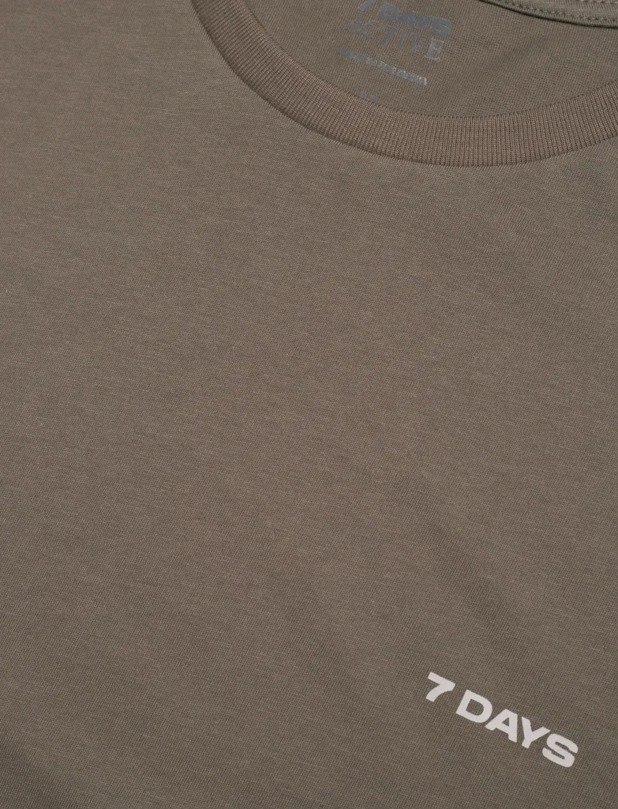 Organic Basic Tee - T-Shirts