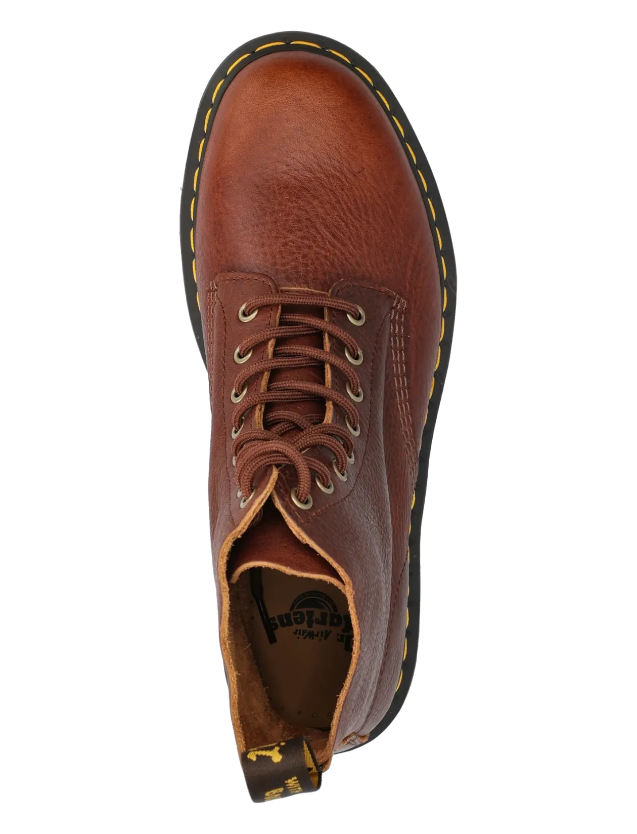 1460 Pascal Cashew Ambassador - Med snøre
