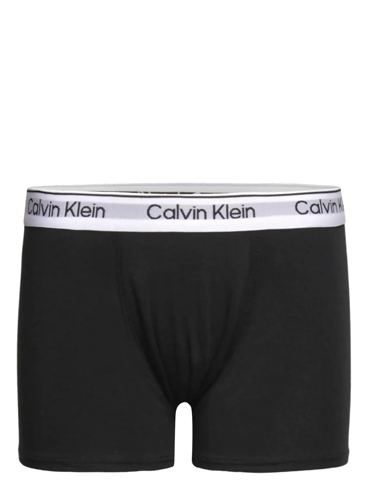2PK TRUNK - Underbukser