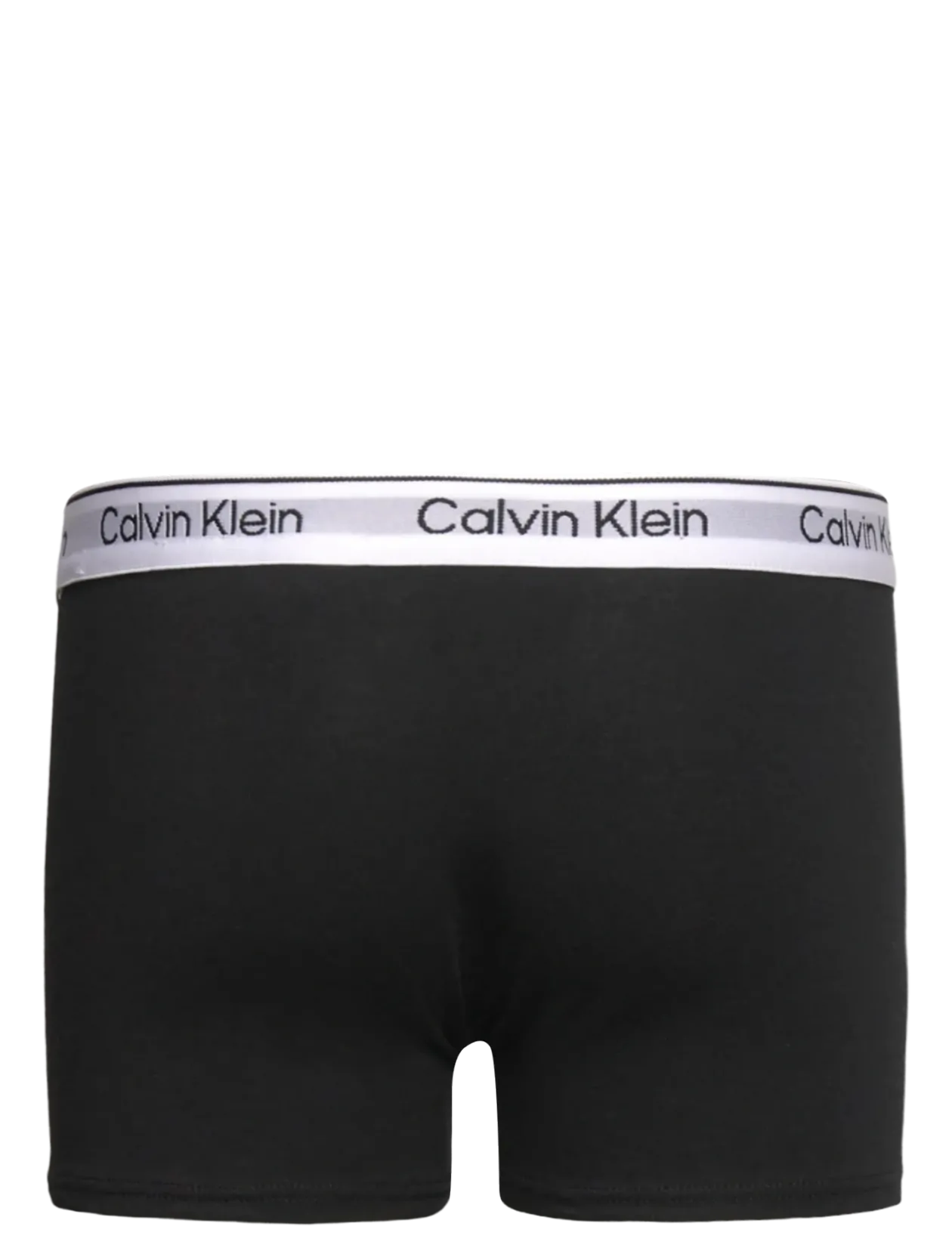 2PK TRUNK - Underbukser
