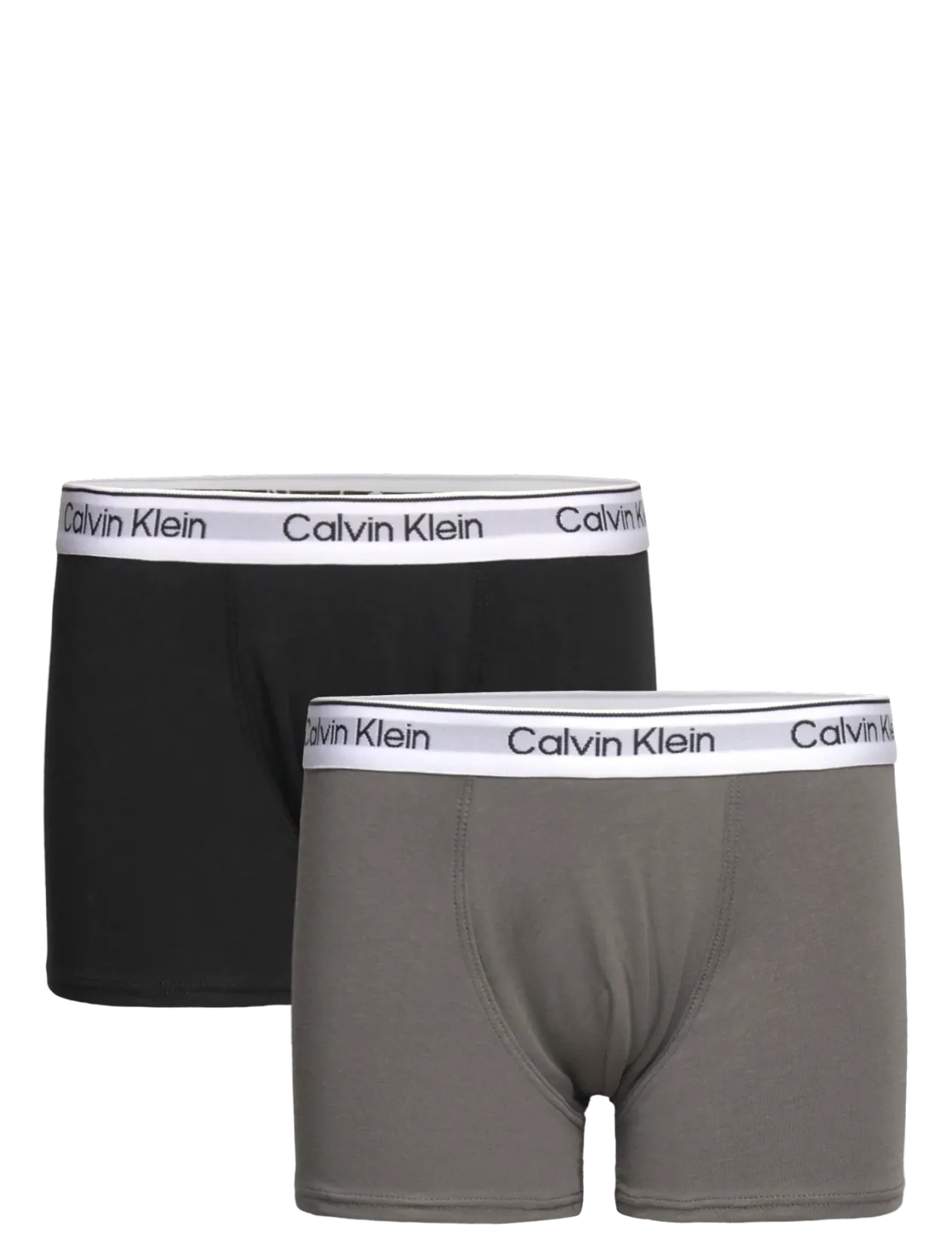 2PK TRUNK - Underbukser