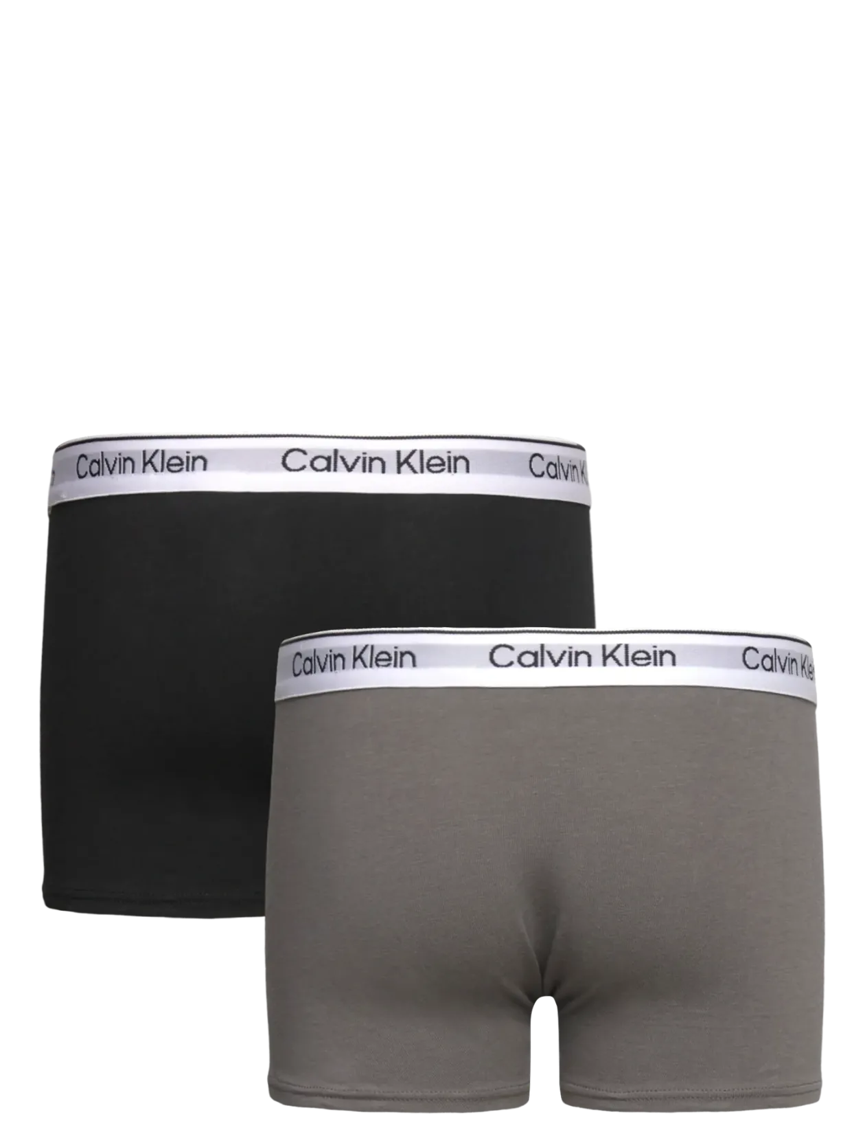 2PK TRUNK - Underbukser