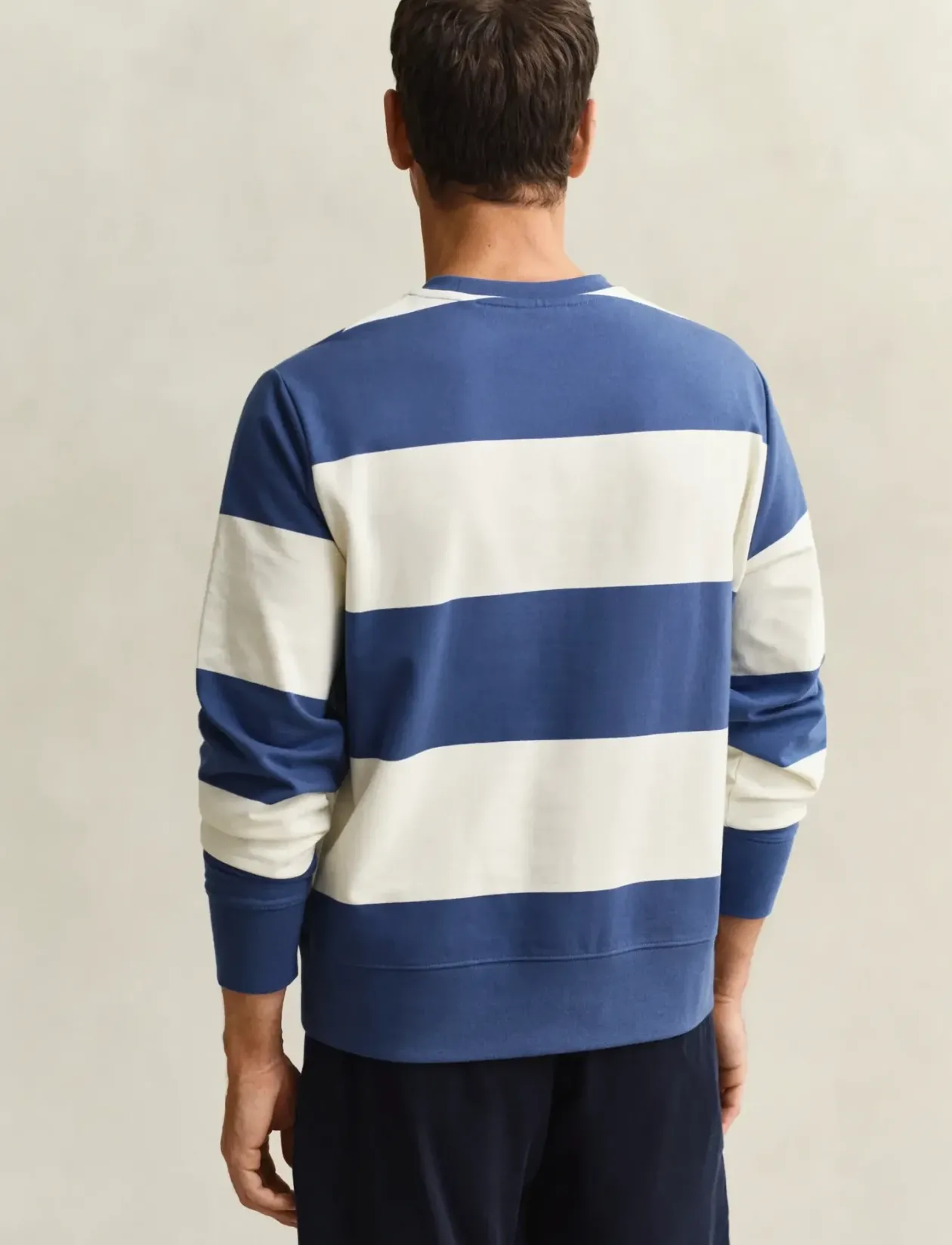 STRIPED C-NECK - Sweatshirts