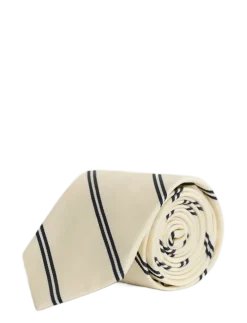 STRIPED TIE - Slips