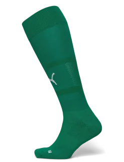 teamFINAL Socks - Fodboldsokker