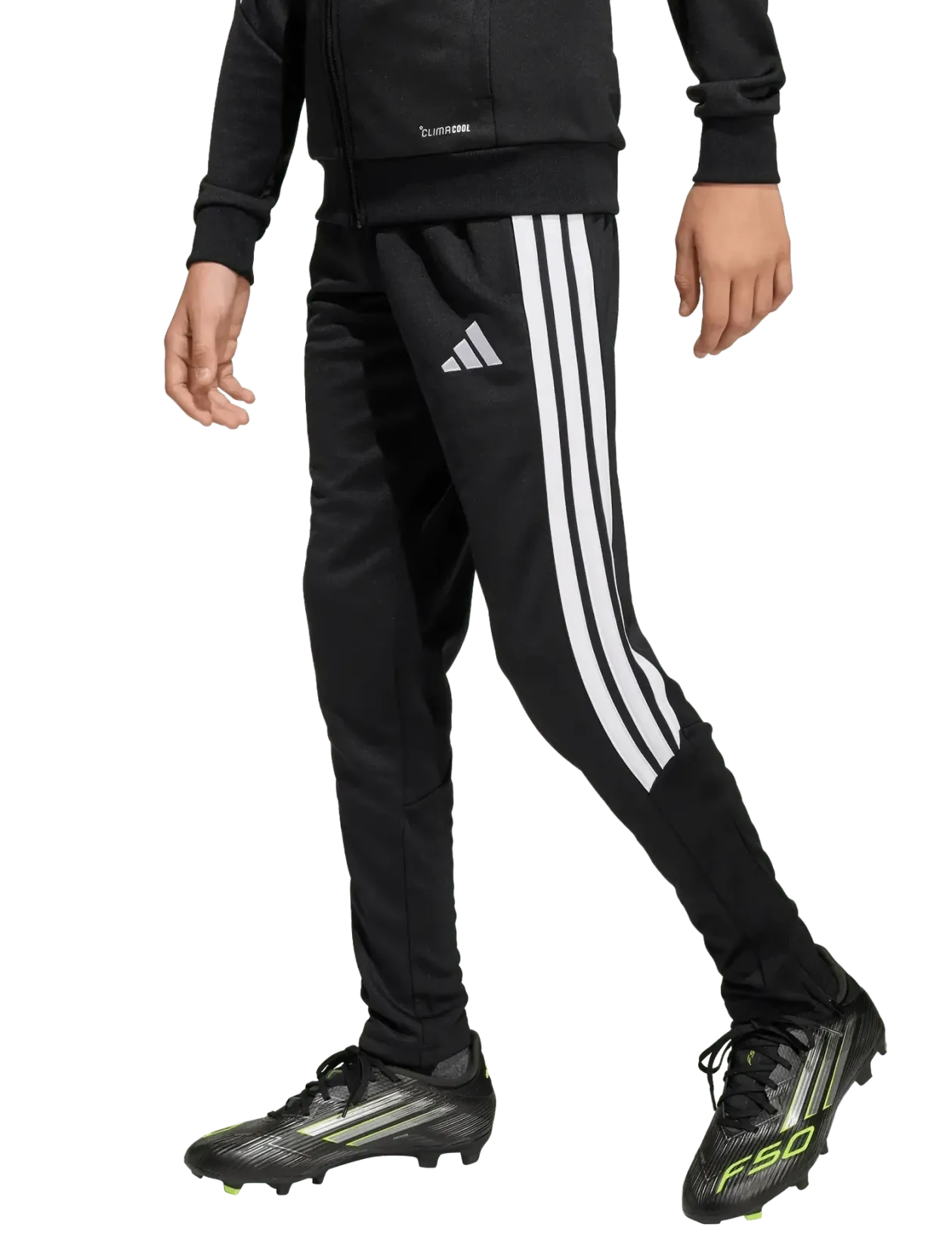 TIRO26L PNTR Y - Sweatpants