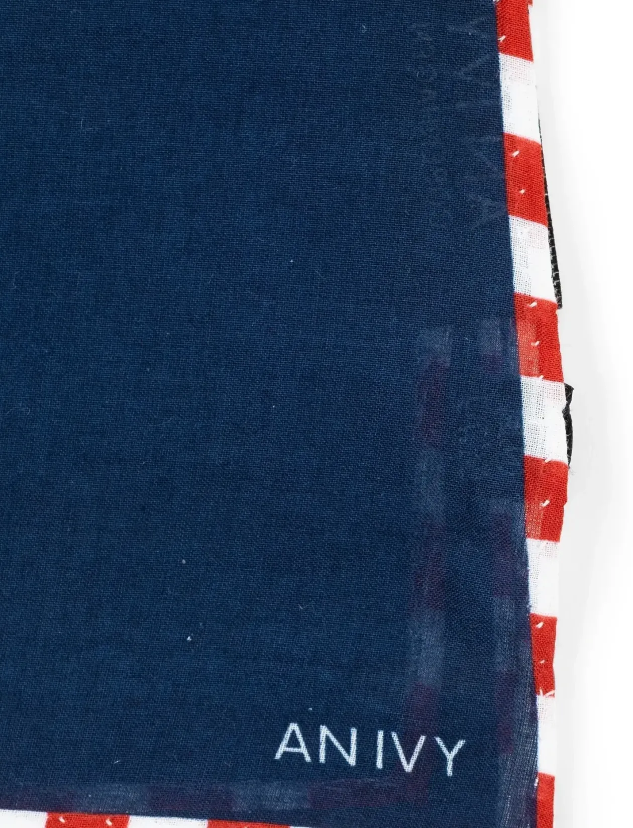 Tricolore Borders Navy - Lommekluder