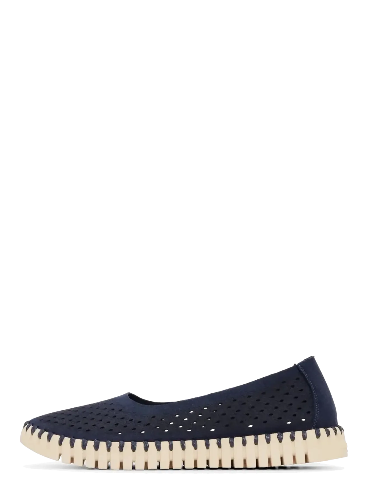TULIP3579 - Ballerinaer