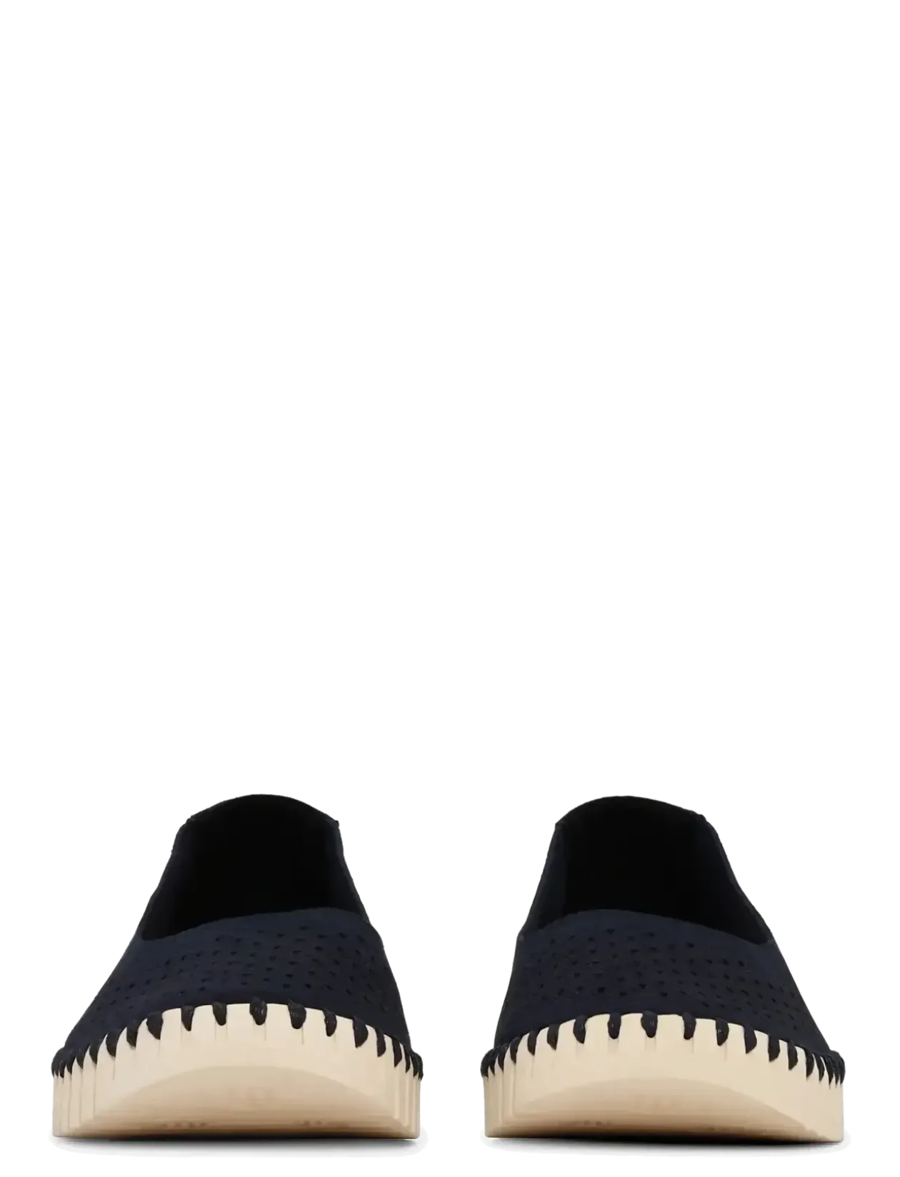 TULIP3579 - Ballerinaer