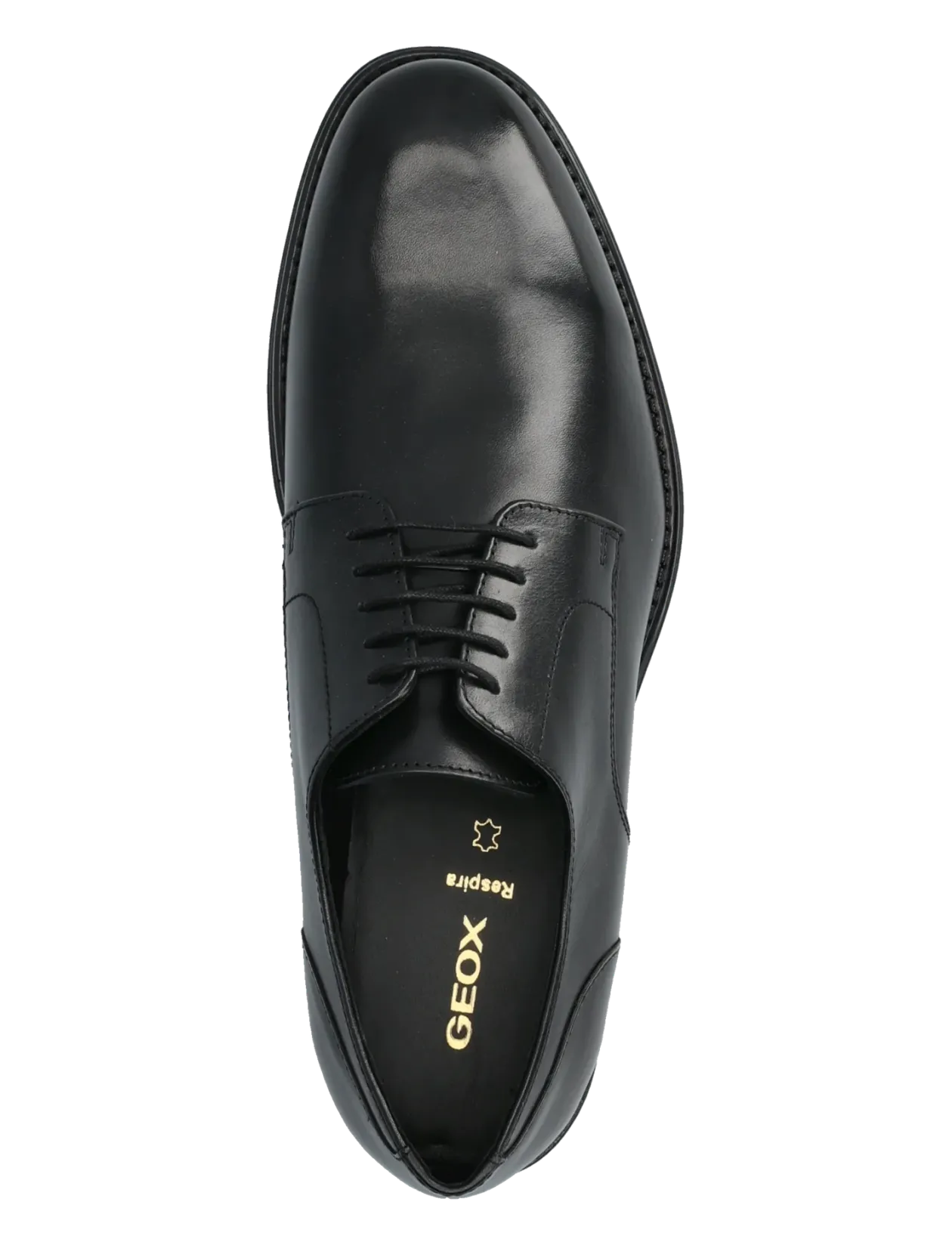 U BARBERIGO C - Derby sko